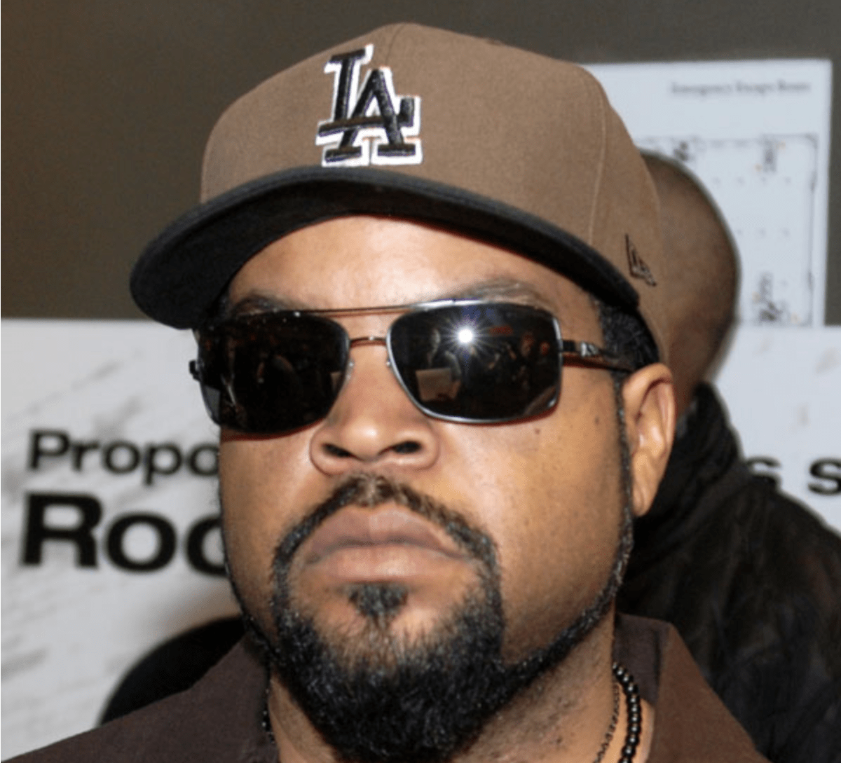 Ice Cube 指控 Robinhood 试图逃避争议广告责任