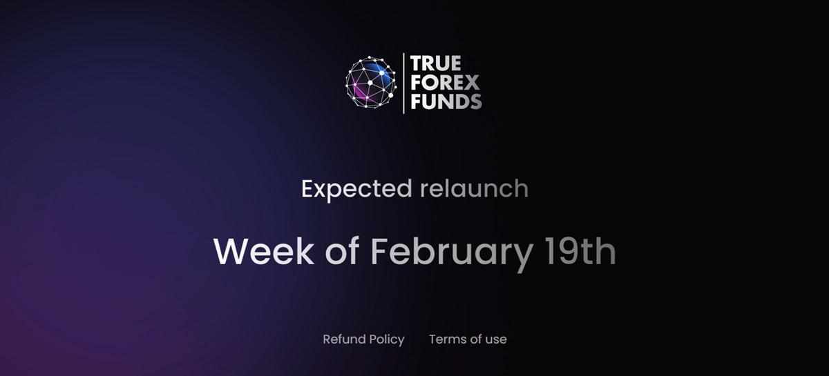 独家:True Forex Funds 计划下周重启自营交易业务