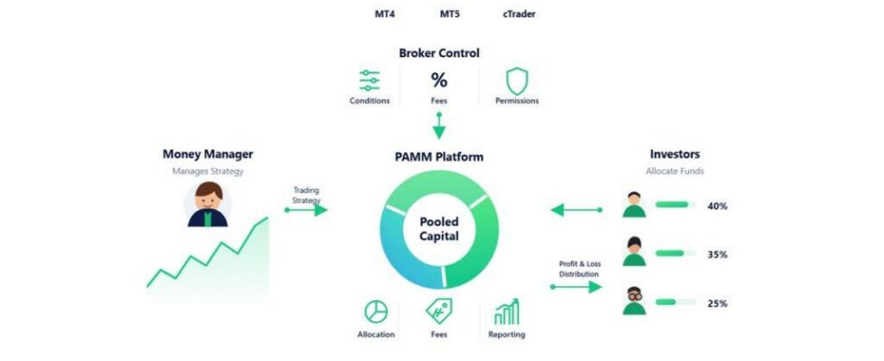 Spec Markets上线PAMM账户并扩大与Brokeree技术合作